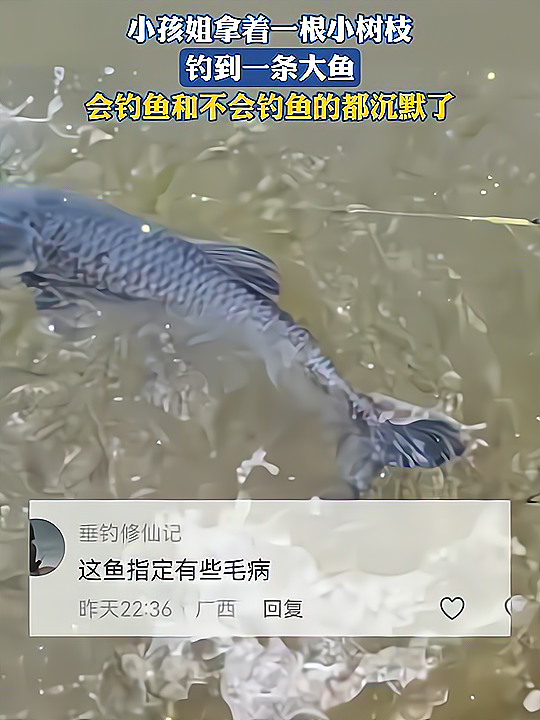详细阅读:会钓鱼的和不会钓鱼的都沉默了(会钓鱼的和不会钓鱼的都沉默了,这让钓鱼佬情何以堪?) 会钓鱼的和不会钓鱼的都沉默了(会钓鱼的和不会钓鱼的都沉默了,这让钓鱼佬情何以堪?)